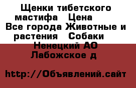 Щенки тибетского мастифа › Цена ­ 80 - Все города Животные и растения » Собаки   . Ненецкий АО,Лабожское д.